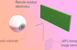 icfo与 qurv technologies设计石墨烯增强图像传感器