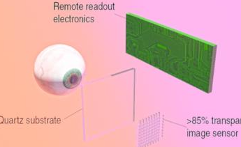 icfo与 qurv technologies设计石墨烯增强图像传感器